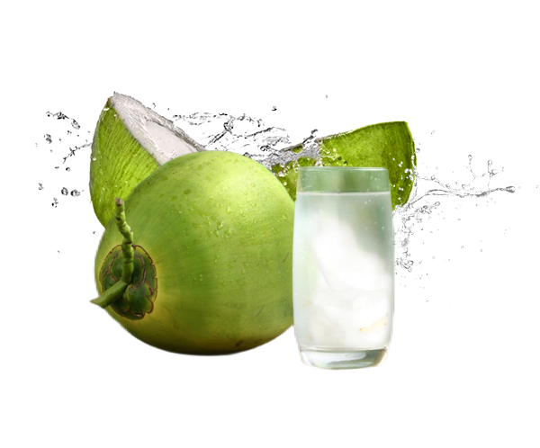 Organic Coconut Water